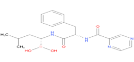 Bortezomib