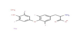 Levothyroxine Sodium