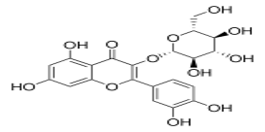 Lsoquercetine